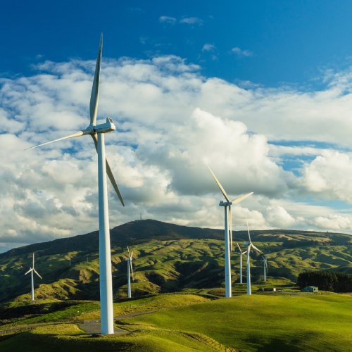 Mehrere Windkrafträder stehen auf einer Wiese. Im Hintergrund ist ein kleiner Berg zu sehen.